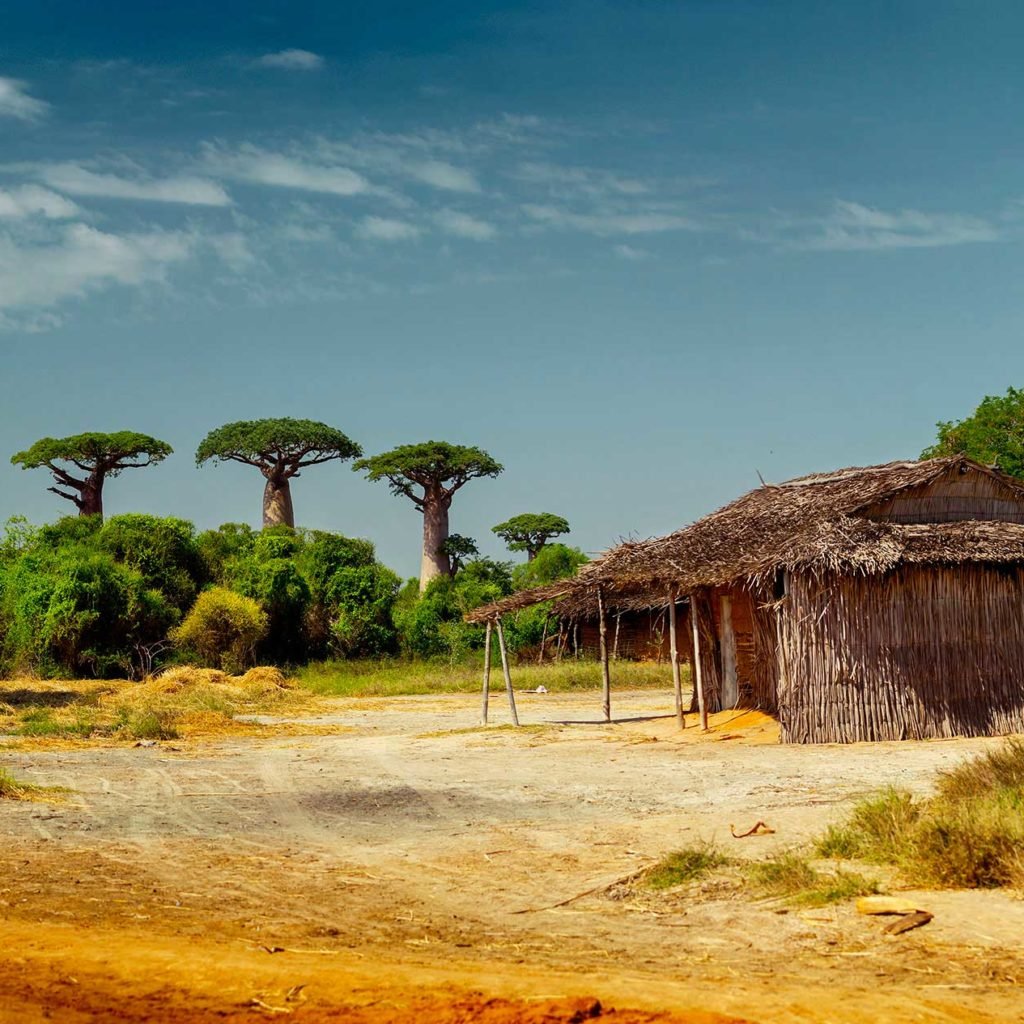 Madagascar - Paysage rural hutte