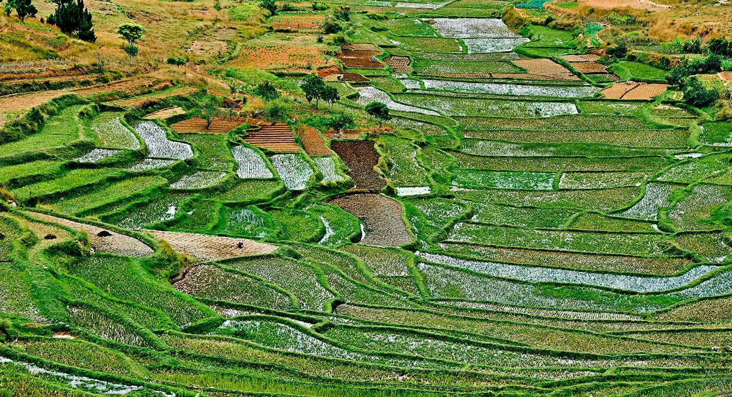 Colourful Fianarantsoa Colourful Fianarantsoa