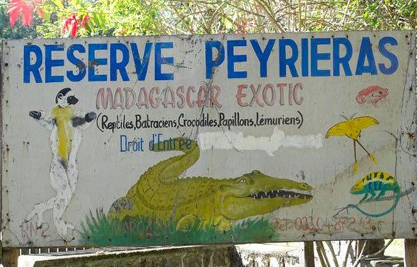 madagascar-reserve-peyrieras