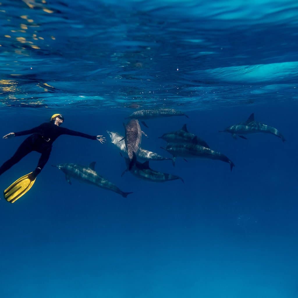 ACCEUIL-Salon de la plongée 2016 : immersion à l'Île de la Réunion !