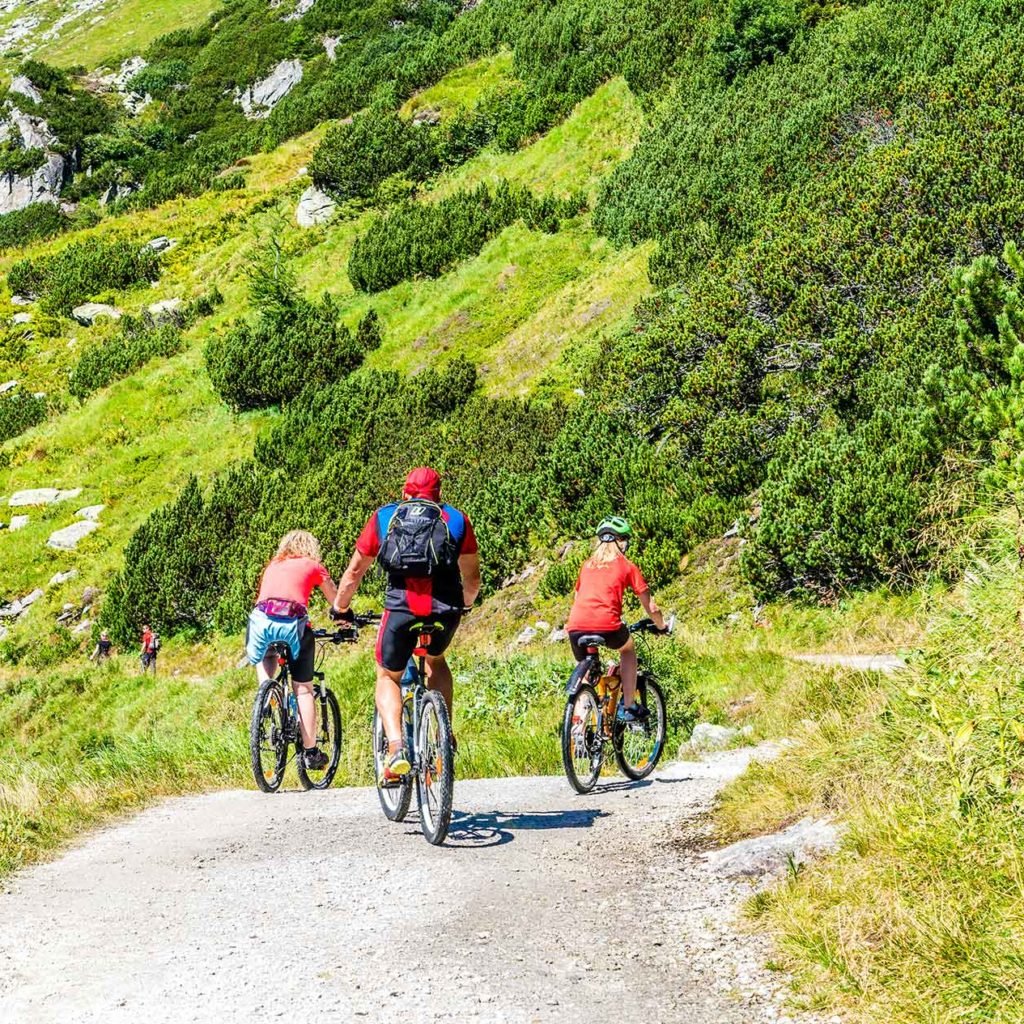 ACCEUIL-L’IRT & Adventuretravelreunion en tournée en Afrique du sud pour promouvoir le VTT