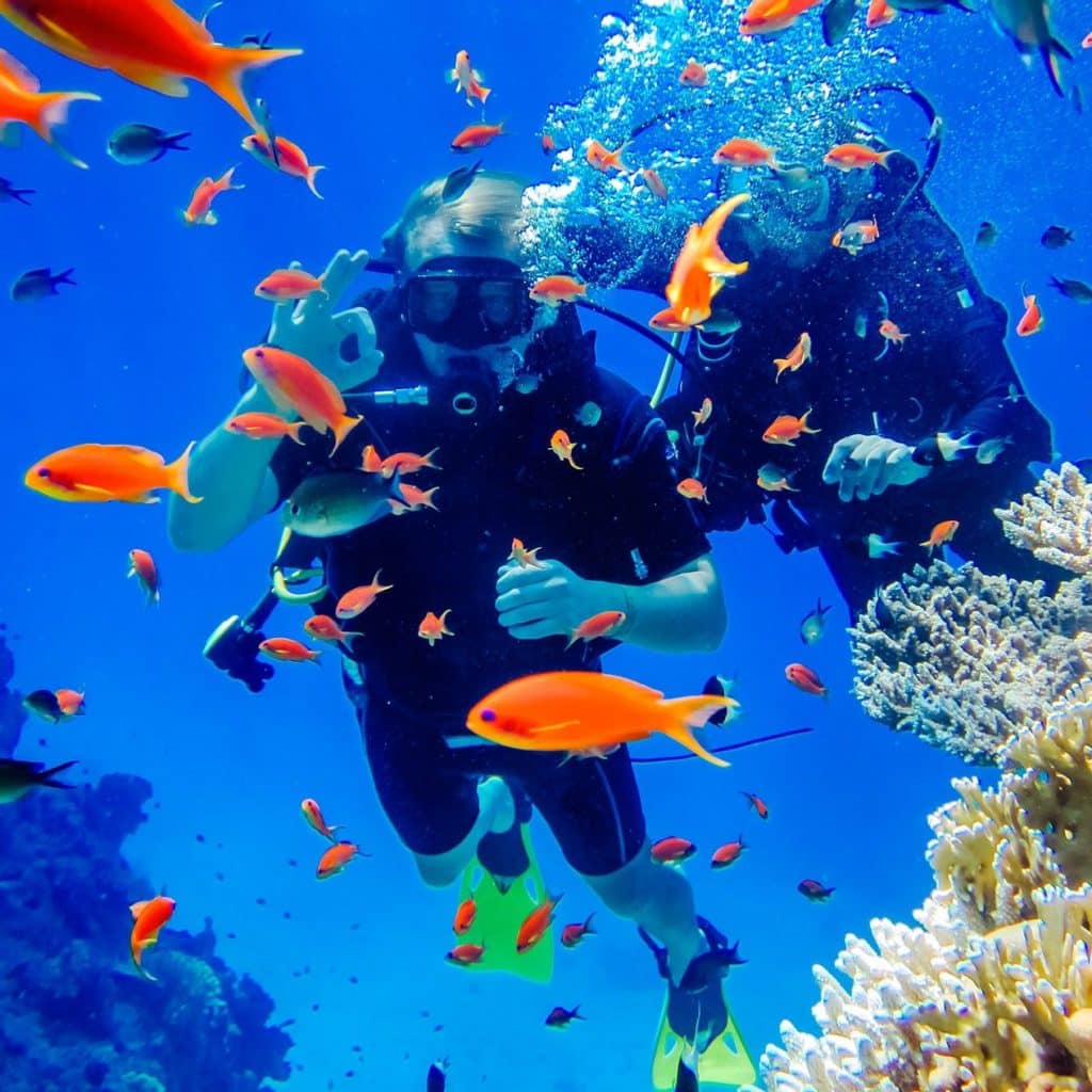 ACCUEIL-Plongée sous-marine : c'est la fête des mers