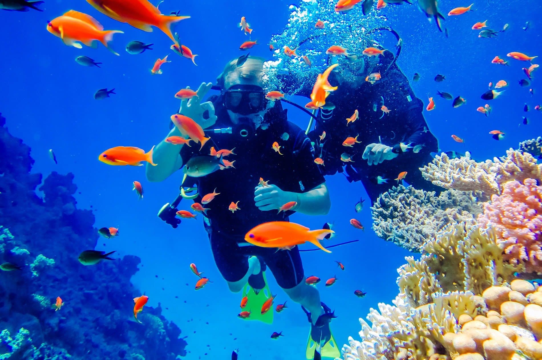 ACCUEIL-Plongée sous-marine : c'est la fête des mers