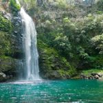 Les Seychelles - Paysage cascade nature