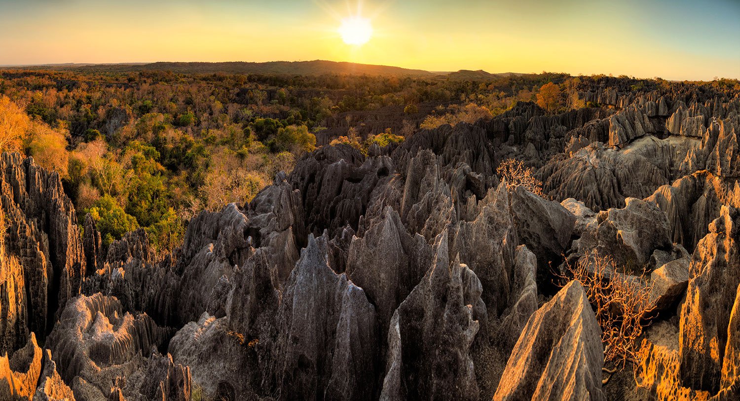 ARTICLE-10 reasons to visit Madagascar ! ARTICLE-10 reasons to visit Madagascar !