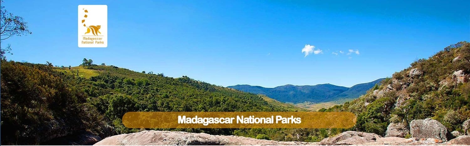 ARTICLE-Madagascar online !