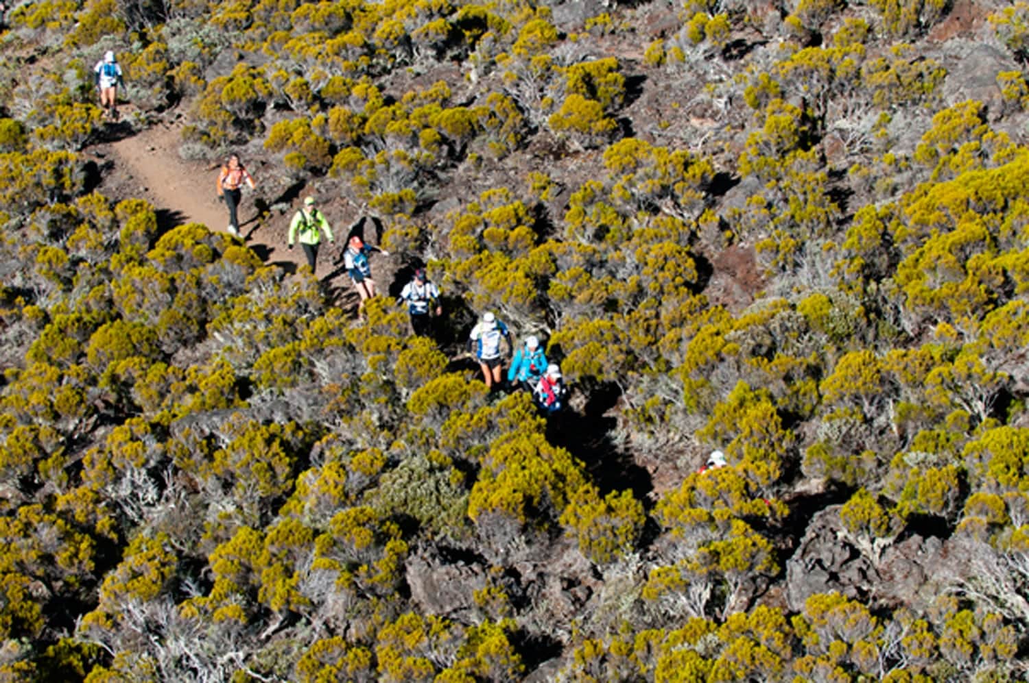 ARTICLE-Le grand raid : dernière étape de l'Ultra Trail World Tour 2014