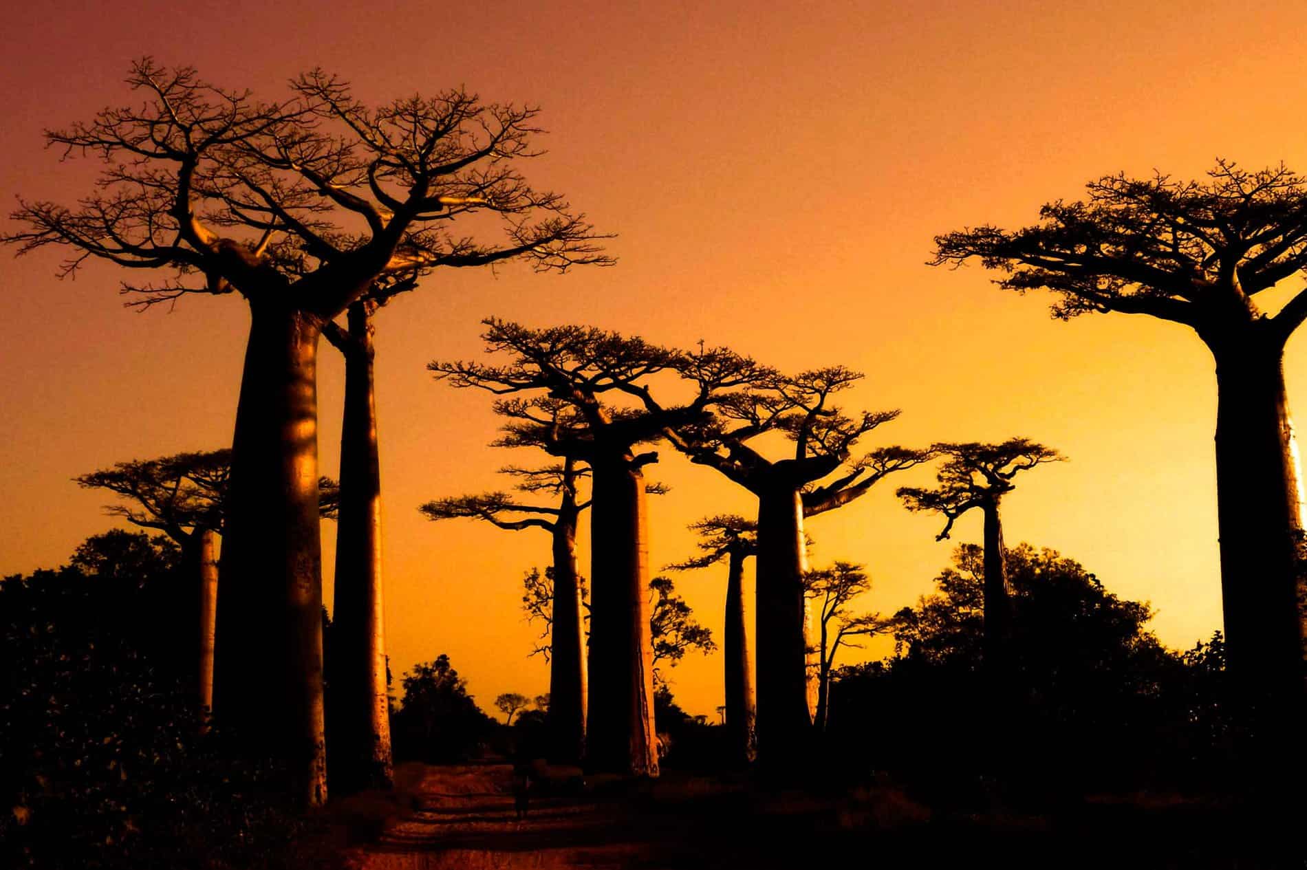 PAGE-MADAGASCAR PAGE-MADAGASCAR