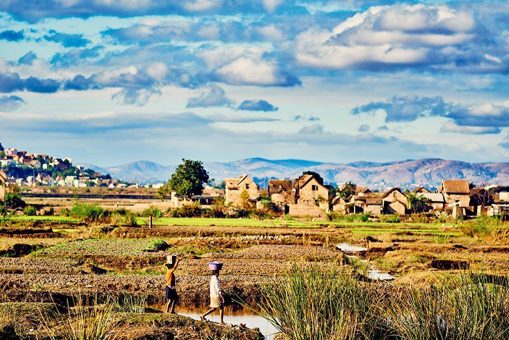 Madagascar - Paysage rural