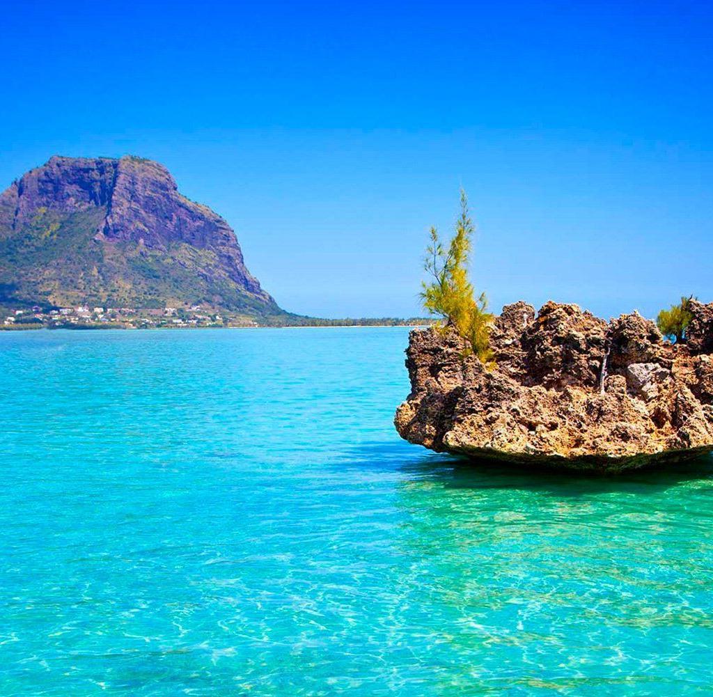 Corail face au Morne de Maurice