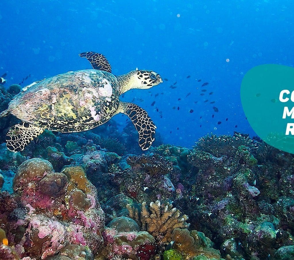 offres-ecotourisme_volcans-cirques-lagons-comores-mayotte-reunion-fr