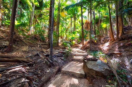 i-v-ecotourisme-fond-ferdinand
