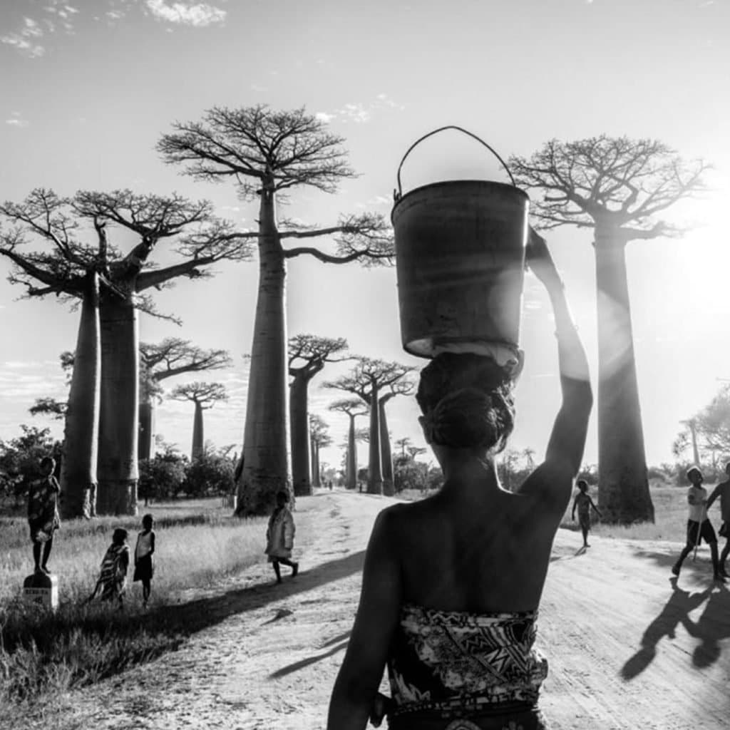 Femme devant baobabs pierrot men