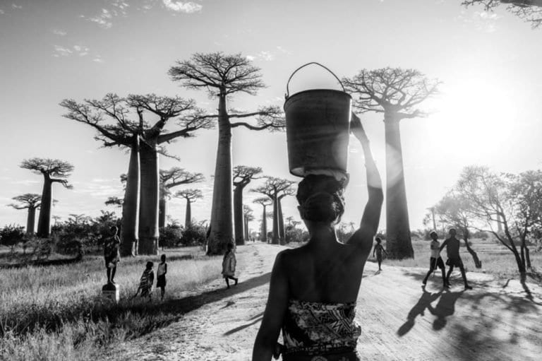 Femme devant baobabs pierrot men