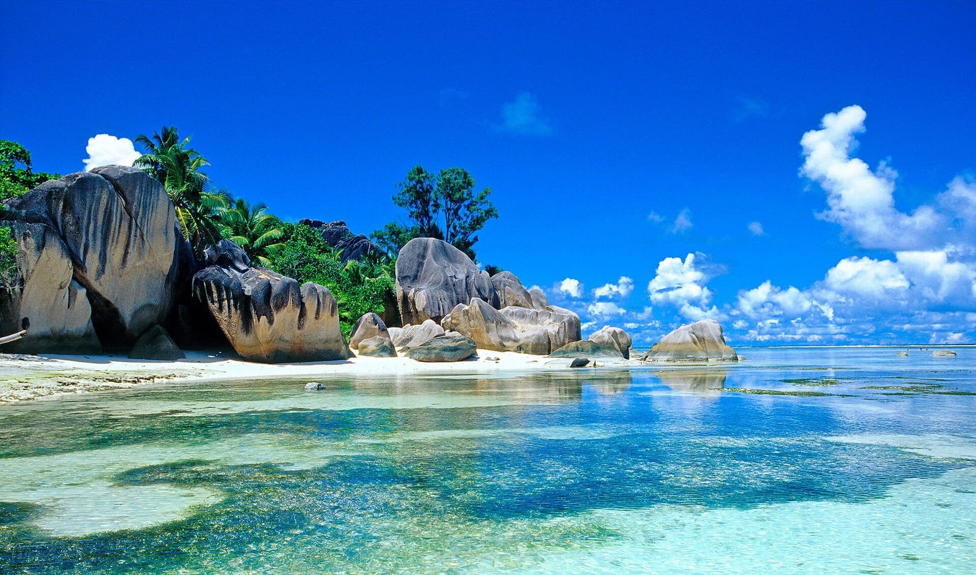 Octopus fishing, La Digue, Seychelles, Africa, Indian Ocean Stock