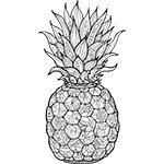 ananas