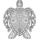 coloriage_tortue