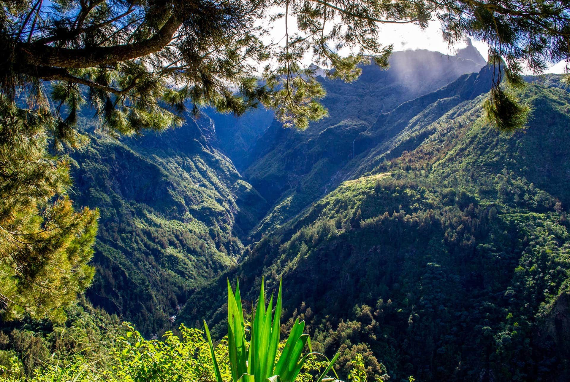 reunion island tourism from india